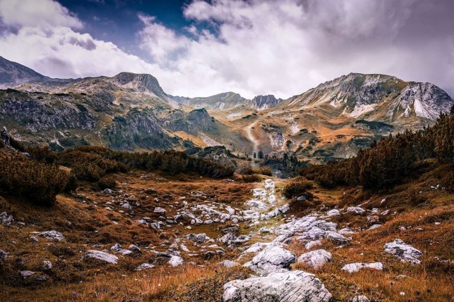 Almlandschaft in den Niederen Tauern