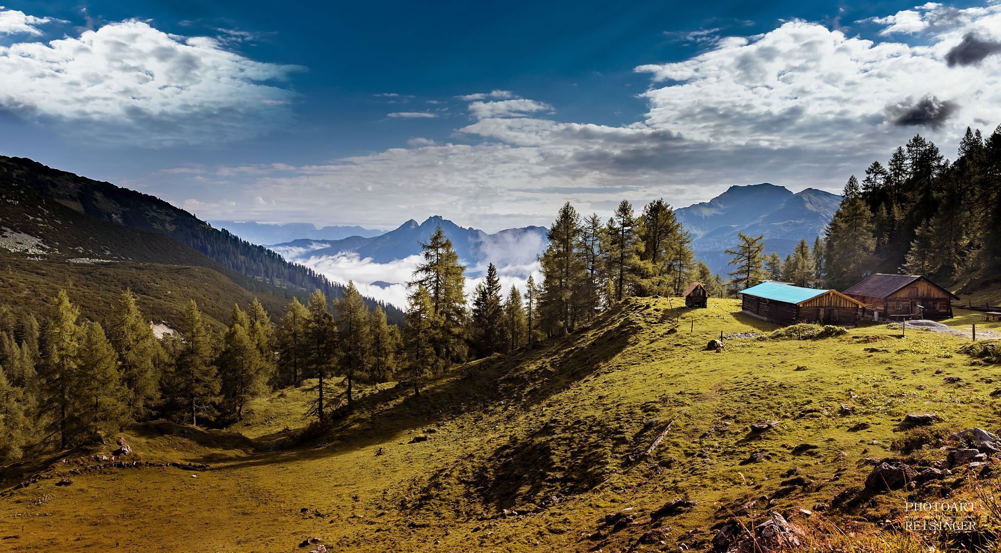 Urlaub am Bio-Bauernhof Ennslehen in Flachauwinkl - im Bild die eigene Alm